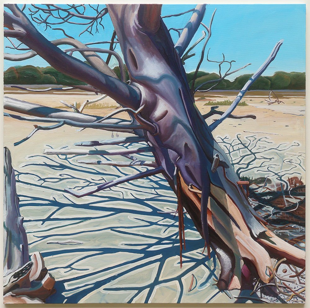 The skin that drips down from the tree